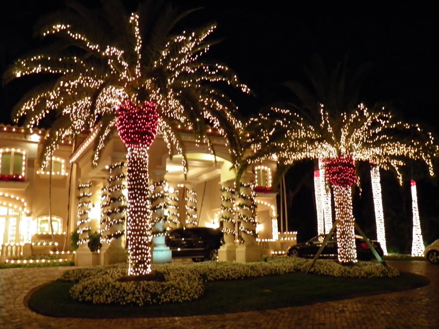 Palm trees wrapped in warm white Christmas lights
